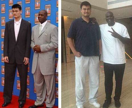 复出之路：历经艰辛的等待（重返征程：漫长而艰辛的守候）